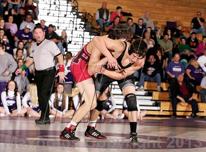 Thumbnail 1 in Pomona @ Arvada West photogallery.