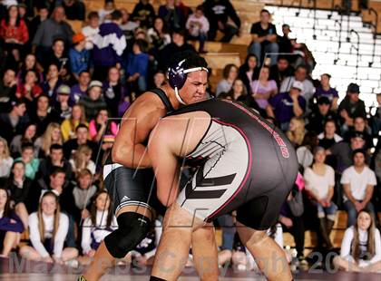 Thumbnail 3 in Pomona @ Arvada West photogallery.