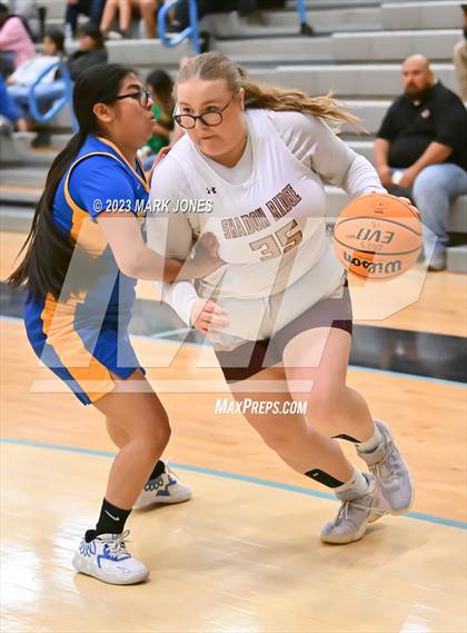 Thumbnail 2 in Carl Hayden Community vs. Shadow Ridge (Lady Wolves Court Classic) photogallery.