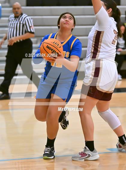 Thumbnail 1 in Carl Hayden Community vs. Shadow Ridge (Lady Wolves Court Classic) photogallery.