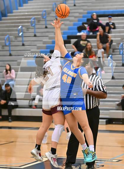 Thumbnail 1 in Carl Hayden Community vs. Shadow Ridge (Lady Wolves Court Classic) photogallery.