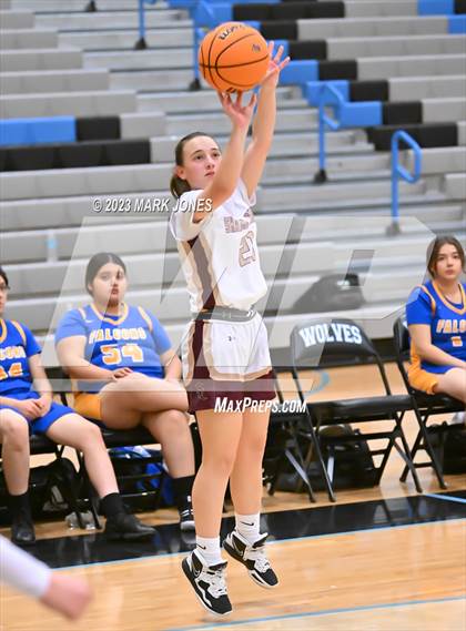 Thumbnail 2 in Carl Hayden Community vs. Shadow Ridge (Lady Wolves Court Classic) photogallery.