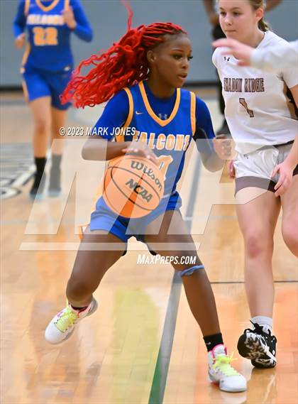 Thumbnail 2 in Carl Hayden Community vs. Shadow Ridge (Lady Wolves Court Classic) photogallery.