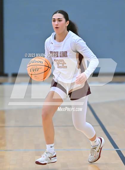 Thumbnail 1 in Carl Hayden Community vs. Shadow Ridge (Lady Wolves Court Classic) photogallery.