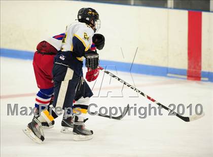 Thumbnail 3 in Glastonbury @ East Haven photogallery.