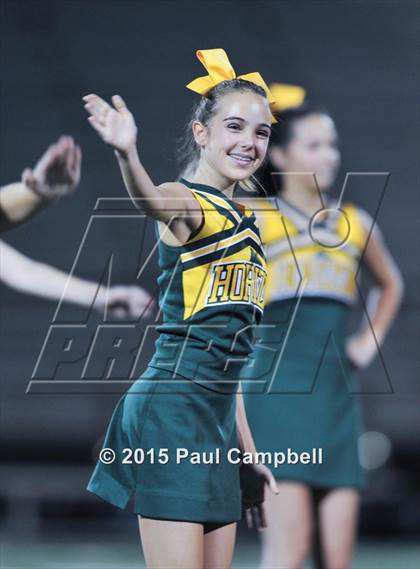 Thumbnail 3 in Desert Vista @ Horizon photogallery.