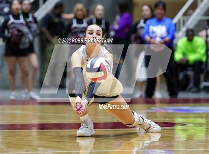 Thumbnail 2 in Davenport vs. Randall (UIL 4A Volleyball Final) photogallery.