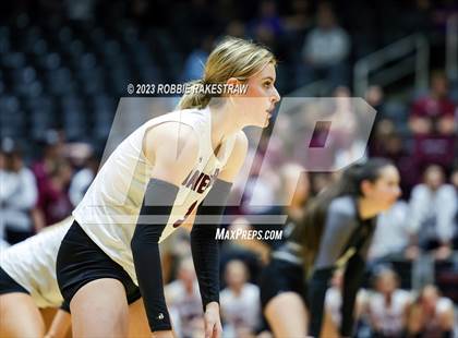 Thumbnail 2 in Davenport vs. Randall (UIL 4A Volleyball Final) photogallery.
