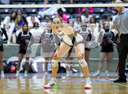 Thumbnail 1 in Davenport vs. Randall (UIL 4A Volleyball Final) photogallery.