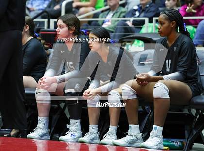 Thumbnail 3 in Davenport vs. Randall (UIL 4A Volleyball Final) photogallery.