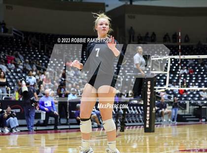 Thumbnail 1 in Davenport vs. Randall (UIL 4A Volleyball Final) photogallery.