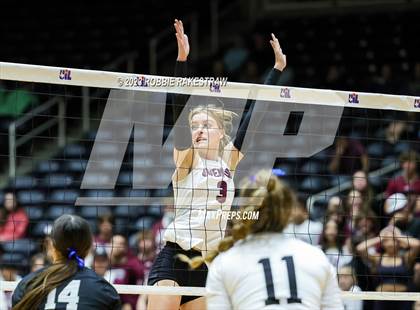 Thumbnail 1 in Davenport vs. Randall (UIL 4A Volleyball Final) photogallery.