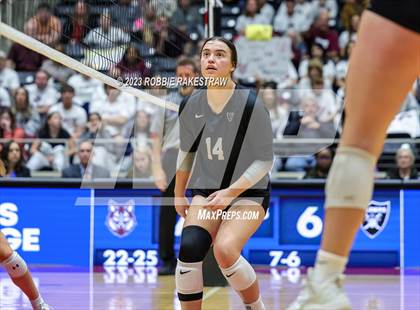 Thumbnail 1 in Davenport vs. Randall (UIL 4A Volleyball Final) photogallery.