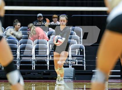 Thumbnail 1 in Davenport vs. Randall (UIL 4A Volleyball Final) photogallery.