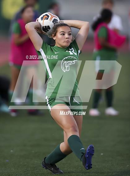 Thumbnail 1 in American @ Castro Valley photogallery.