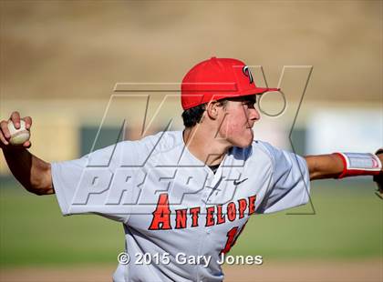 Thumbnail 3 in Antelope @ Whitney photogallery.