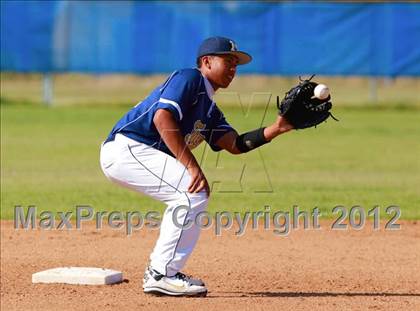 Thumbnail 2 in Morse @ Mira Mesa photogallery.