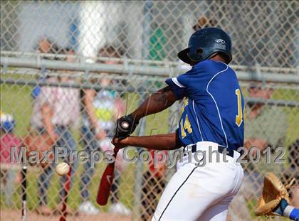 Thumbnail 3 in Morse @ Mira Mesa photogallery.