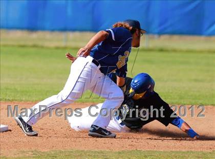 Thumbnail 3 in Morse @ Mira Mesa photogallery.