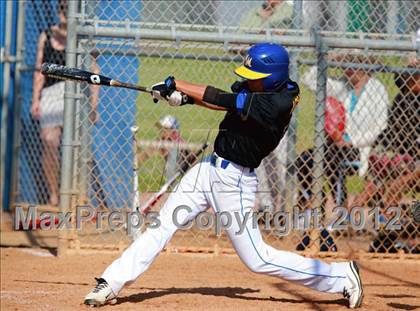 Thumbnail 3 in Morse @ Mira Mesa photogallery.
