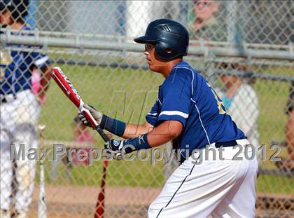 Thumbnail 1 in Morse @ Mira Mesa photogallery.