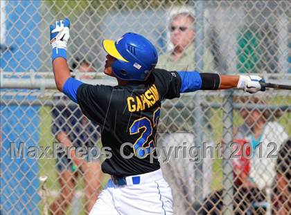 Thumbnail 3 in Morse @ Mira Mesa photogallery.
