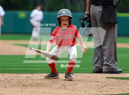Thumbnail 1 in Brea Olinda @ El Modena (HALO Classic) photogallery.