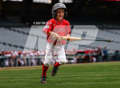 Thumbnail 2 in Brea Olinda @ El Modena (HALO Classic) photogallery.