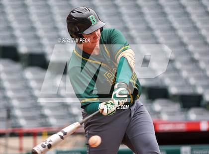 Thumbnail 2 in Brea Olinda @ El Modena (HALO Classic) photogallery.