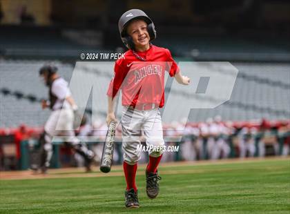 Thumbnail 1 in Brea Olinda @ El Modena (HALO Classic) photogallery.