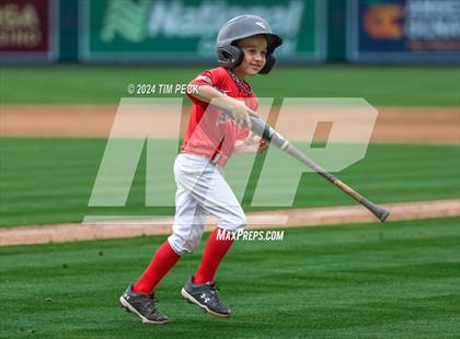 Thumbnail 2 in Brea Olinda @ El Modena (HALO Classic) photogallery.