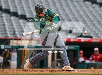 Thumbnail 2 in Brea Olinda @ El Modena (HALO Classic) photogallery.