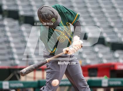 Thumbnail 2 in Brea Olinda @ El Modena (HALO Classic) photogallery.