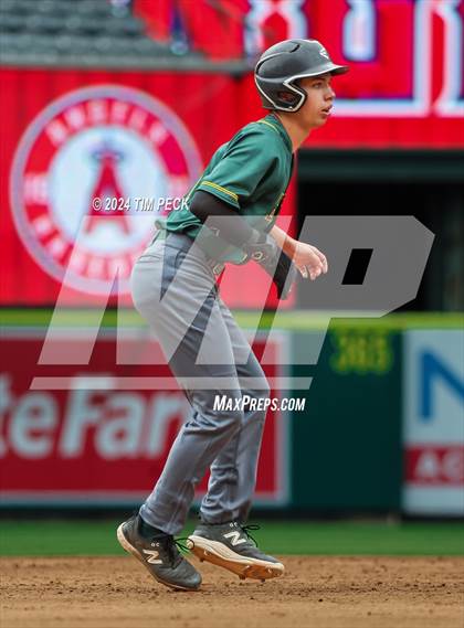 Thumbnail 2 in Brea Olinda @ El Modena (HALO Classic) photogallery.