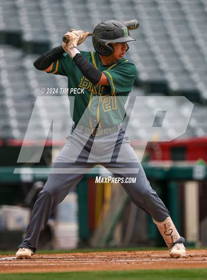 Thumbnail 2 in Brea Olinda @ El Modena (HALO Classic) photogallery.