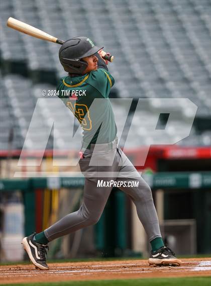 Thumbnail 1 in Brea Olinda @ El Modena (HALO Classic) photogallery.