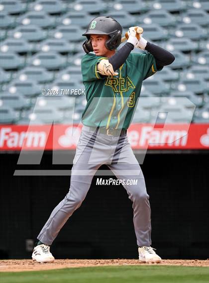 Thumbnail 3 in Brea Olinda @ El Modena (HALO Classic) photogallery.