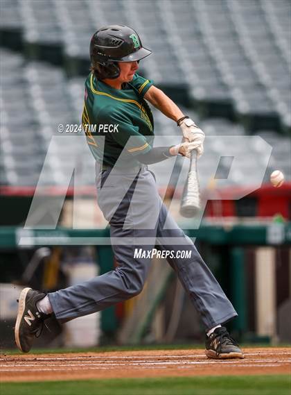 Thumbnail 1 in Brea Olinda @ El Modena (HALO Classic) photogallery.