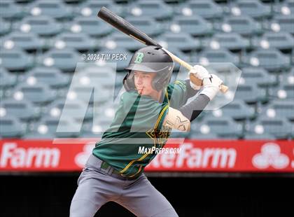 Thumbnail 3 in Brea Olinda @ El Modena (HALO Classic) photogallery.