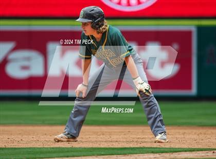 Thumbnail 2 in Brea Olinda @ El Modena (HALO Classic) photogallery.