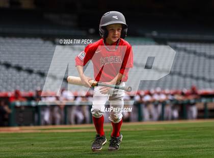 Thumbnail 1 in Brea Olinda @ El Modena (HALO Classic) photogallery.