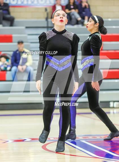 Thumbnail 1 in Ben Lomond "Lassies" photogallery.