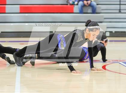 Thumbnail 1 in Ben Lomond "Lassies" photogallery.