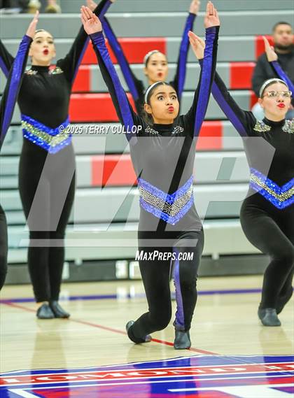 Thumbnail 3 in Ben Lomond "Lassies" photogallery.