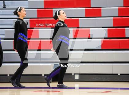 Thumbnail 1 in Ben Lomond "Lassies" photogallery.