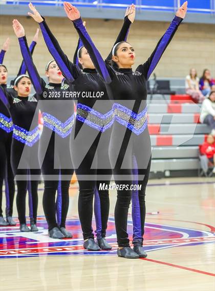 Thumbnail 1 in Ben Lomond "Lassies" photogallery.