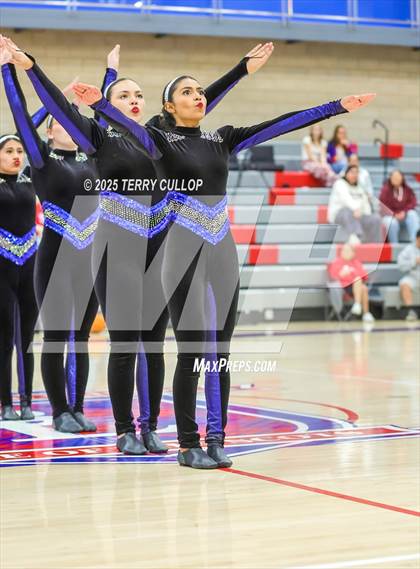 Thumbnail 2 in Ben Lomond "Lassies" photogallery.