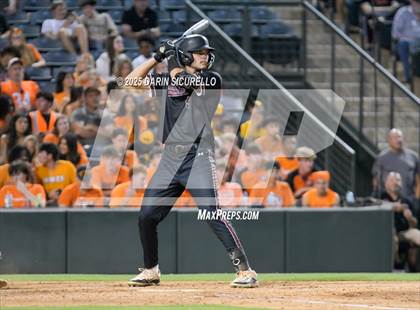 Thumbnail 1 in Red Mountain vs. Corona del Sol (AIA 6A Round 3A Playoff) photogallery.
