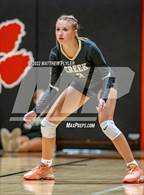 Photo from the gallery "Gray's Creek @ South View"