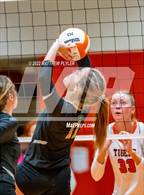 Photo from the gallery "Gray's Creek @ South View"